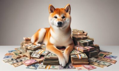 Shiba Inu sitting stacks of money