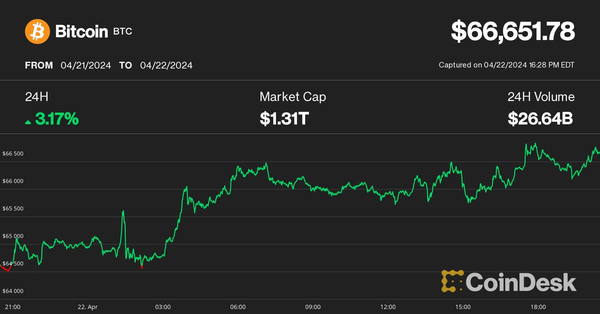 Bitcoin (BTC) Price Targets $67,000 as Crypto Stocks RIOT and HUT Rebound Nearly 20%