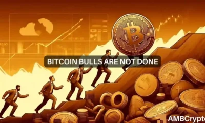 Bitcoin Bull Cycle – How Long Should You HODL Before BTC Hits Its Peak?