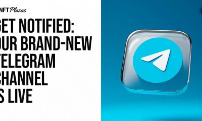 Our brand new Telegram channel is live