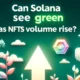 Solana NFT Volumes Increase: Impact on SOL Market Performance