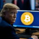 preisdent donald trump, back to the viewer, looking at a computer screen with the bitcoin logo on it