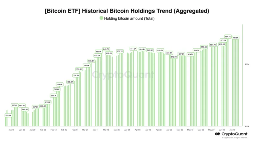 Holdings in Bitcoin ETFs