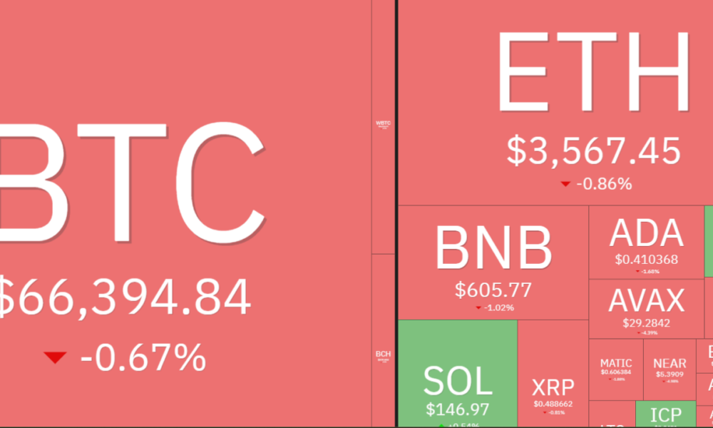 Altcoin Interest Fades Despite Bitcoin's Determination