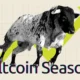 Altcoin season is ready to begin as legendary analyst reveals the exact month