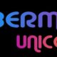 Bermuda Unicorn Launches Secure and User-Friendly NFT