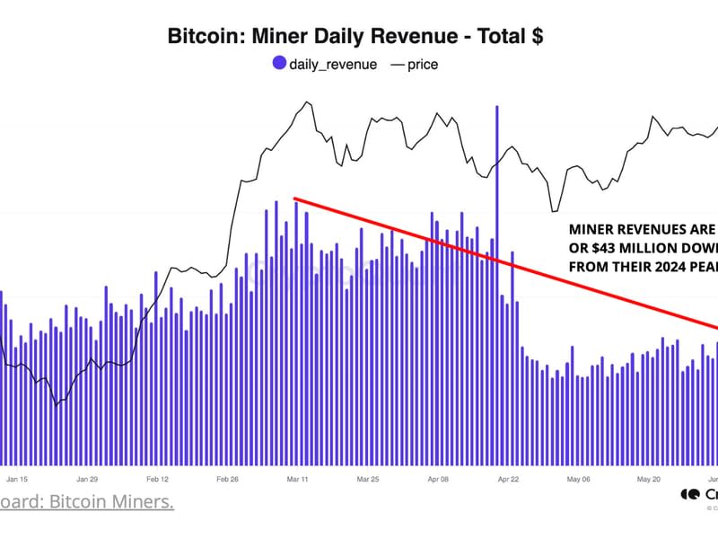 Mining company's daily revenue (CryptoQuant)