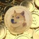 “Dogecoin Looks Much Stronger Than Most Altcoins” and May Continue to “Golden Pocket” at $0.26, Trader Says