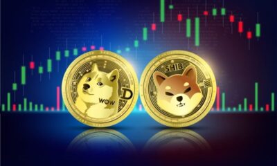 Dogecoin, Shiba Inu and Floki are 'Dino Coins,' Merchant Says: He Likes These 3 Other Meme Coins Like 'Blue Chips'