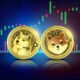 Dogecoin, Shiba Inu and Floki are 'Dino Coins,' Merchant Says: He Likes These 3 Other Meme Coins Like 'Blue Chips'