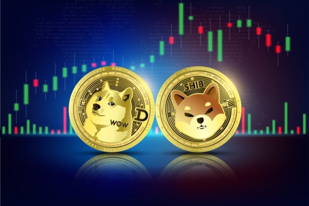 Dogecoin, Shiba Inu and Floki are 'Dino Coins,' Merchant Says: He Likes These 3 Other Meme Coins Like 'Blue Chips'