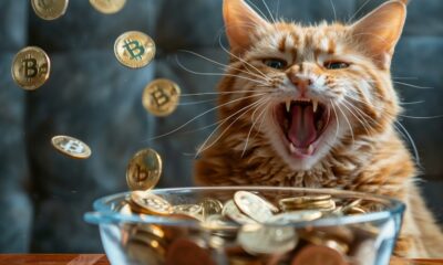 Microsoft India's X account was hacked in the Roaring Kitty crypto scam