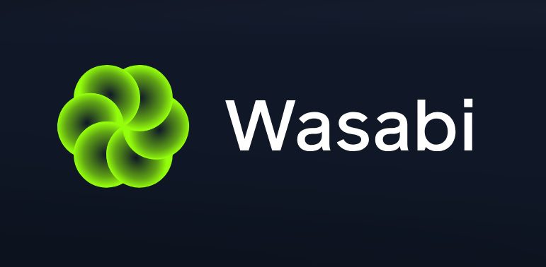 Wasabi Secures $3 Million to Enable Leveraged Trading for Memecoins and NFTs