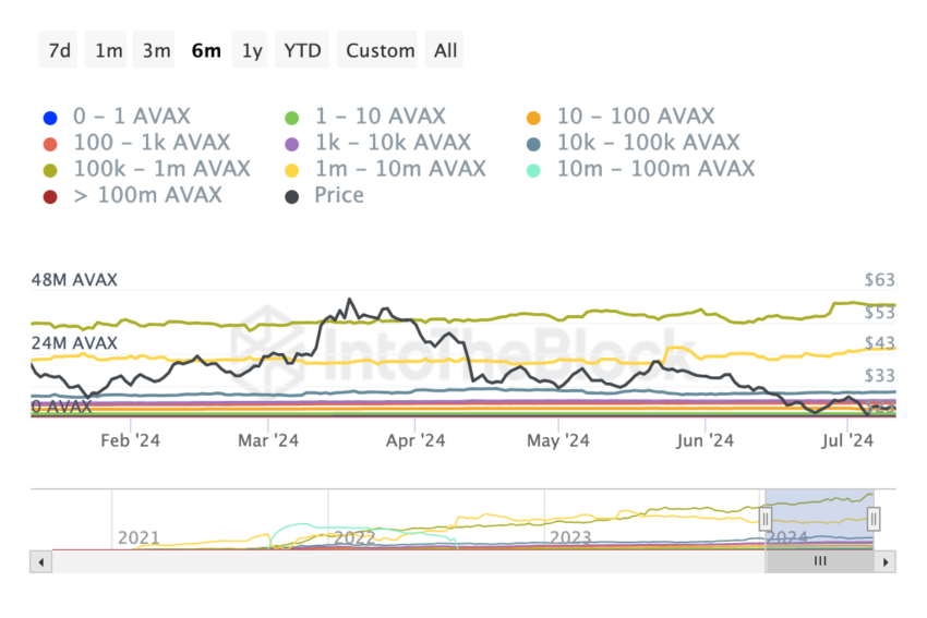 AVAX Crypto Whales Pile Up