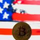 Bitcoin Soars on Trump's Election Chances, Alongside MAGA-Themed Tokens and NFTs