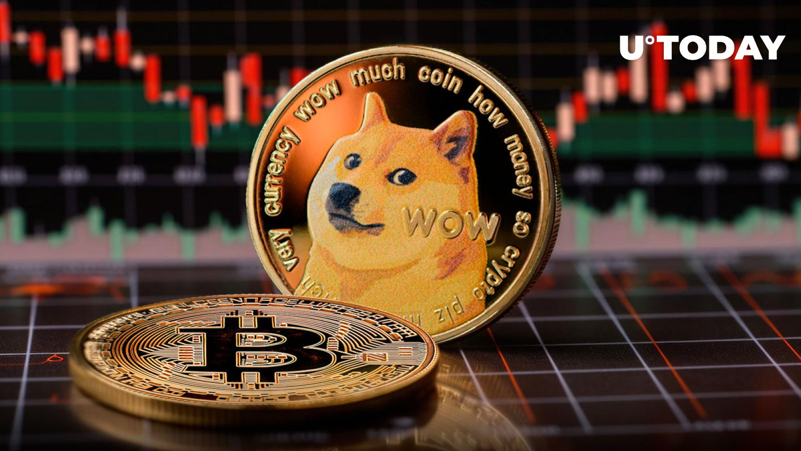 Dogecoin Creator Breaks Silence as Bitcoin Loses $55,000