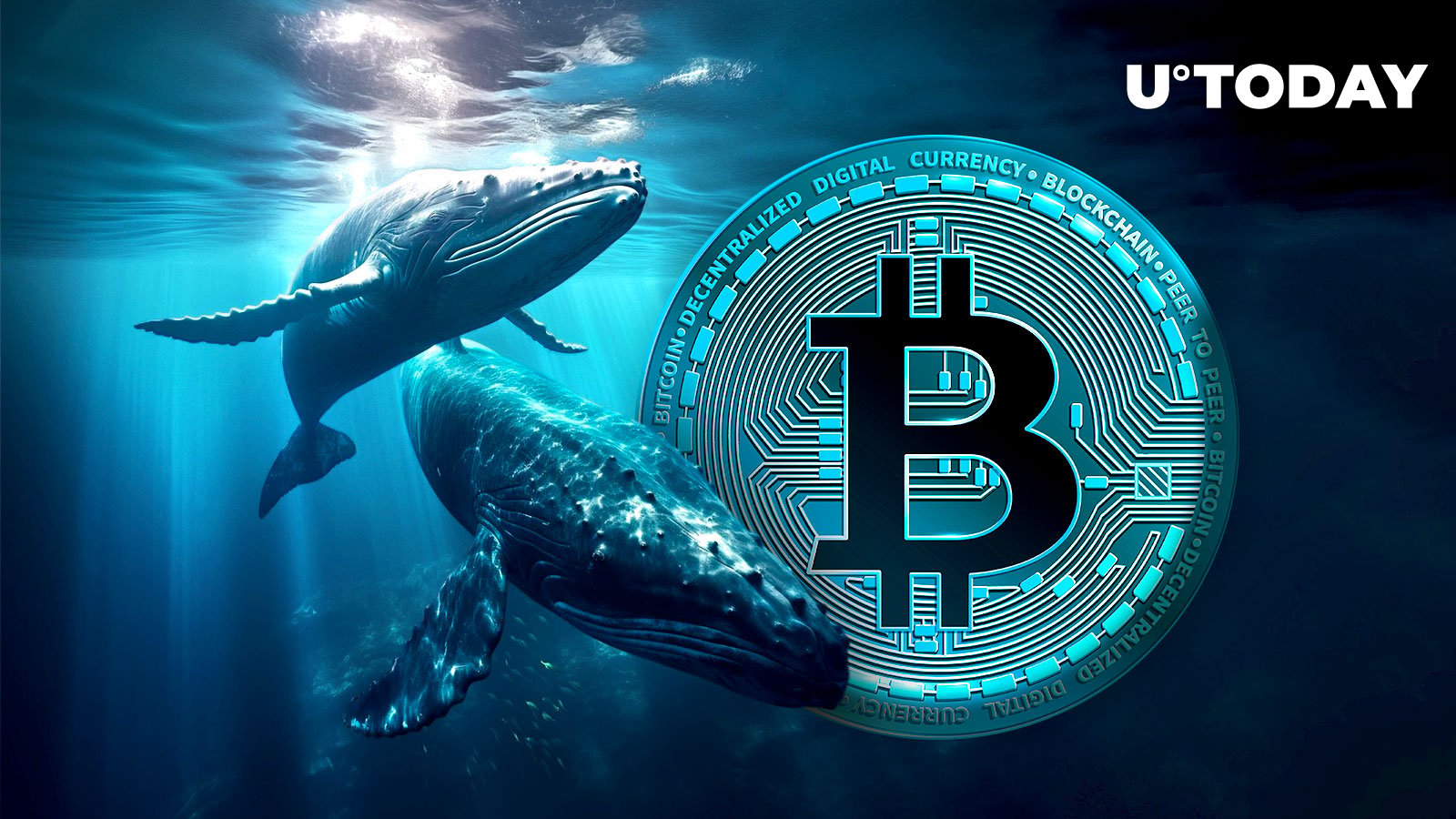 Large Whales Buying Bitcoin (BTC) Drops: Data