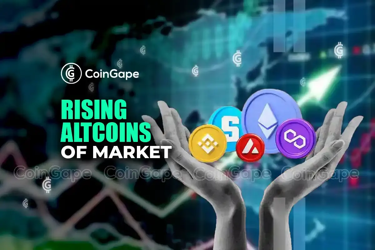 New Altcoins Rising on the Market; Analyzed