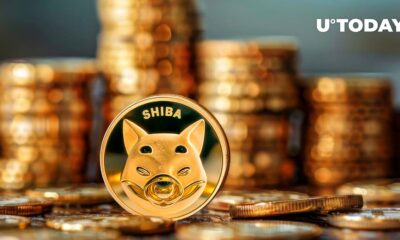 SHIB Team Says: Altcoin Season Is Coming