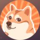 Shiba Inu and Dogecoin to Lead Memecoin's Unexpected Explosion as 98% of Altcoins Peak ⋆ ZyCrypto