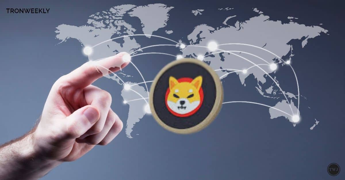 Shiba Inu's 48-Hour Pandemic Stuns Owners