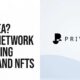 What is Privasea? The AI ​​Network That Launches Nodes and NFTs